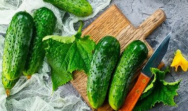 Cucumber diet for weight loss